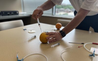 Utilizing Fruit as Task Trainers