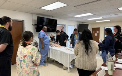 Summer at WISER Brought Many Achievements