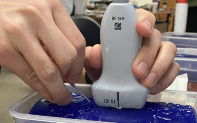 Point of Care Ultrasound (POCUS) Course Back in November